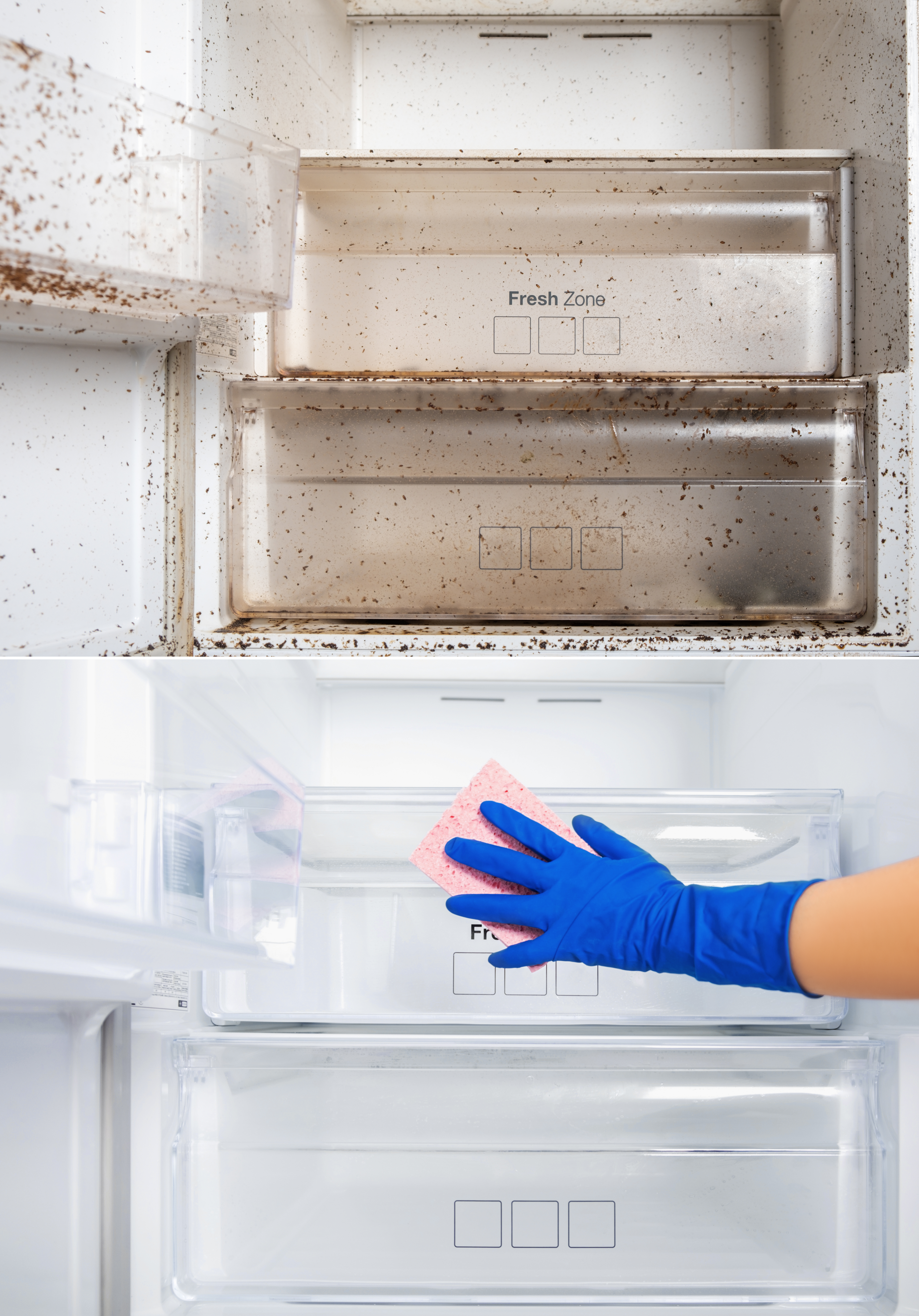 Befor-after female hand washes the refrigerator shelves. Cleaning service Dirty and clean. Boxes